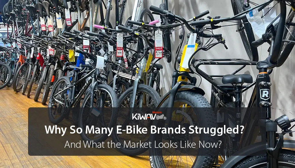 Why So Many E-Bike Brands Struggled?  (And What the Market Looks Like Now?)