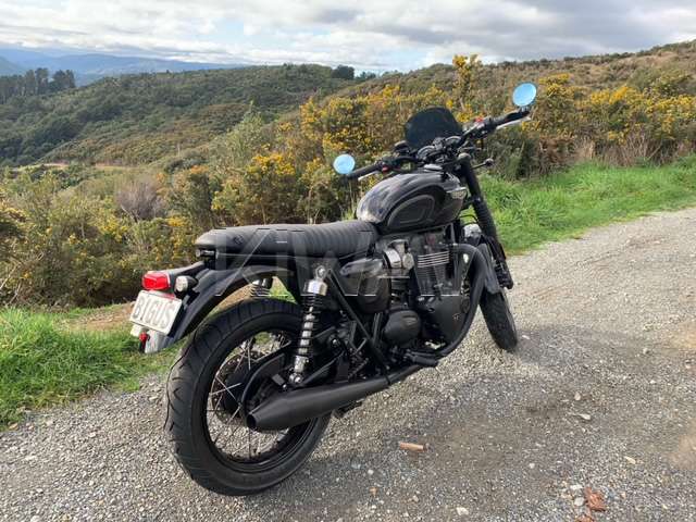 バーエンド: バーエンドミラー ボブ 黒 6mmネジ式 トライアンフ 水冷式