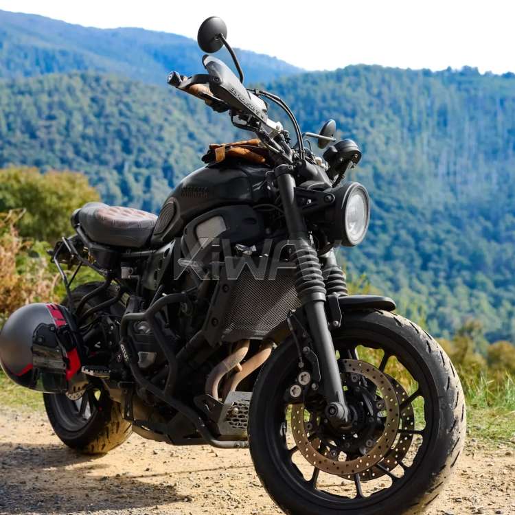 ミラー: バイクミラー イクリプス 黒 25mmハンドルつき、貫通式ミラー
